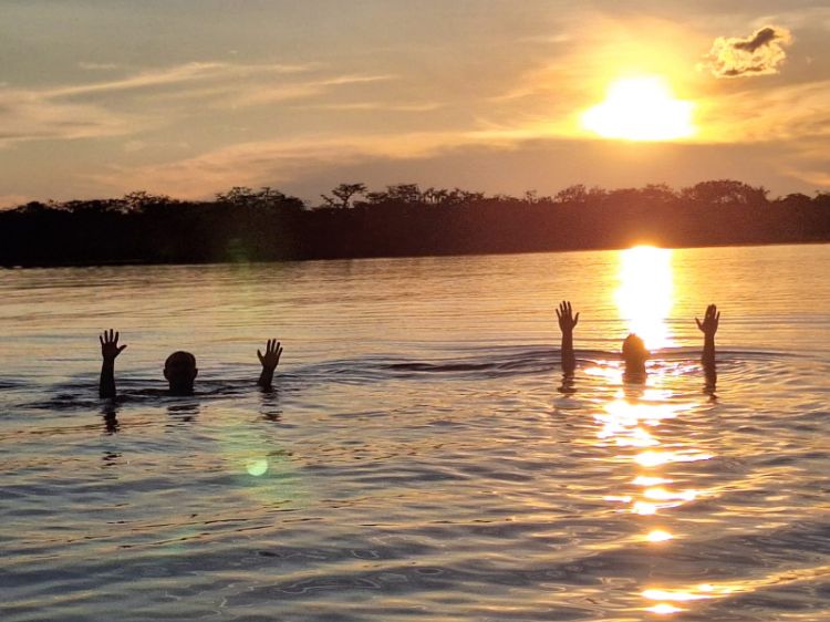 Schwimmen Sie in der Lagune Cuyabeno-Sucumbios